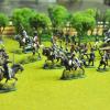 French  Napoleonic wars 1/72 scale Painted by KT