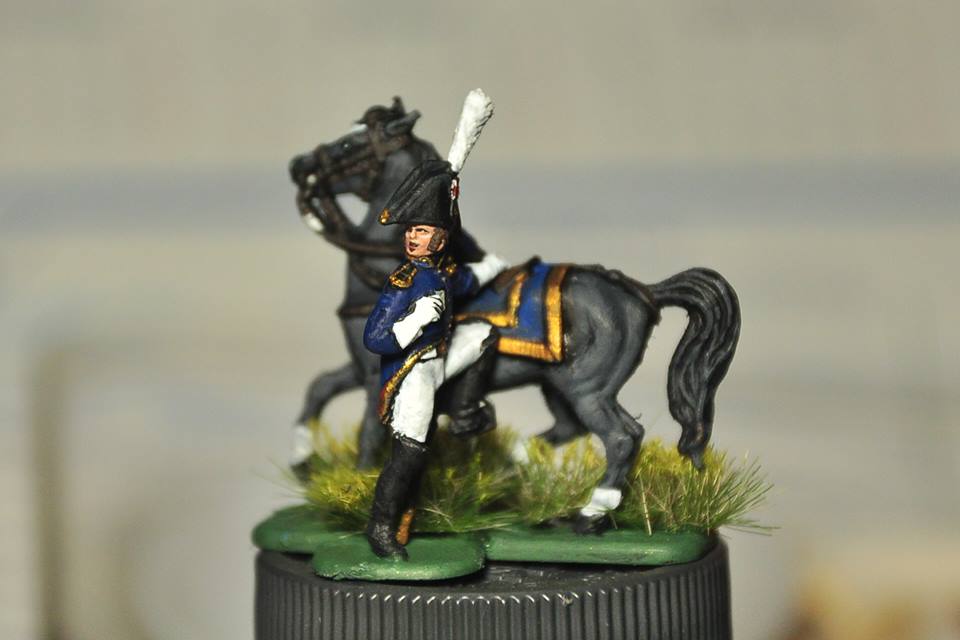 French  Napoleonic wars 1/72 scale Painted by KT