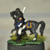 French  Napoleonic wars 1/72 scale Painted by KT