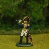 French  Napoleonic wars 1/72 scale Painted by KT