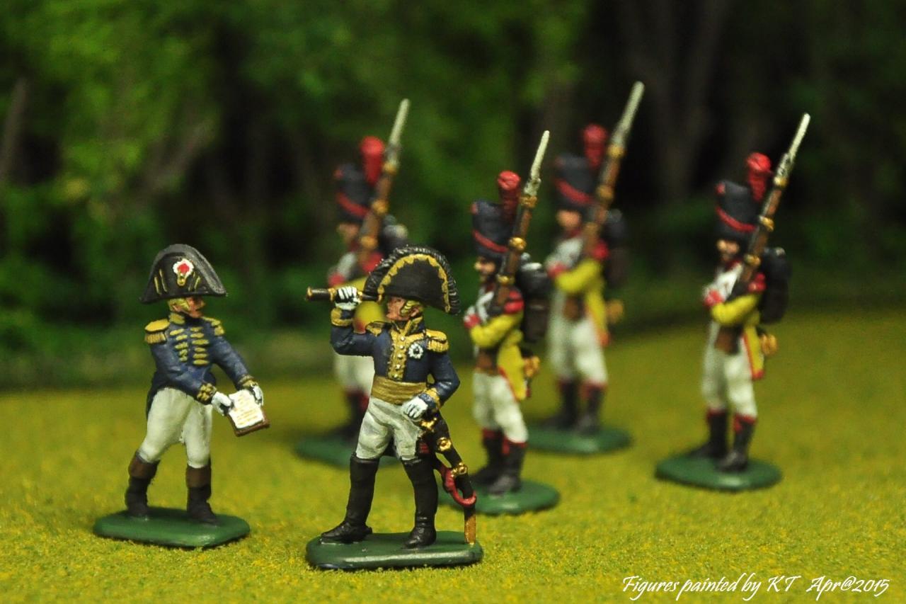 French  Napoleonic wars 1/72 scale Painted by KT