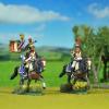 French  Napoleonic wars 1/72 scale Painted by KT