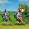 French  Napoleonic wars 1/72 scale Painted by KT