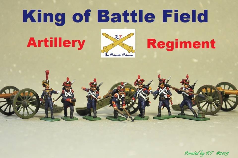 French  Napoleonic wars 1/72 scale Painted by KT