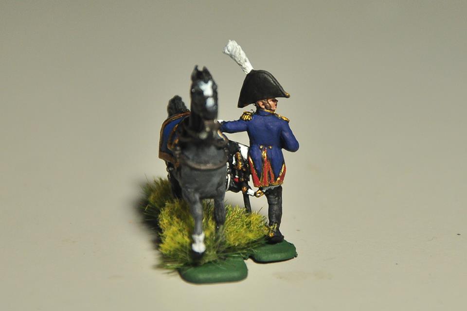 French  Napoleonic wars 1/72 scale Painted by KT