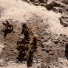 Camp Romain en hiver au 1/72