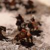Camp Romain en hiver au 1/72