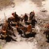Roman Camp in Germania in winter at 1/72