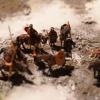 Camp Romain en hiver au 1/72