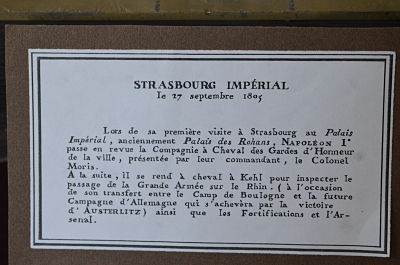 Napoléon à Strasbourg Campagne de 1805