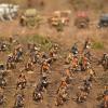 Roman Legion on  the marche 1/72