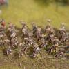 Roman Legion on marche 1/72