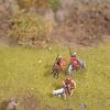 Roman Legion on marche 1/72