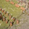 Römisches Marsch Lager 1/72