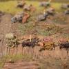 Roman Legion on  the marche 1/72