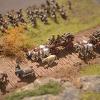 Roman Legion on  the marche 1/72