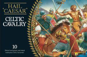 Celtic Cavalry (10)