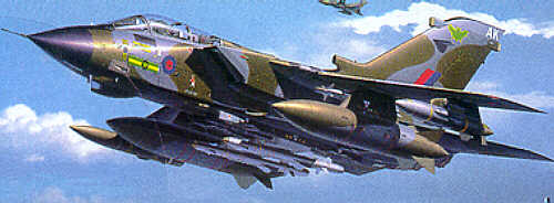 Rv4619