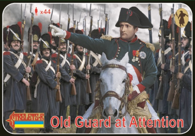 171 - Old Guard at Attention 1/72