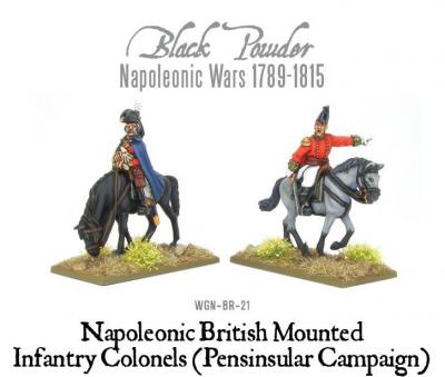 Mounted Napoleonic British Infantry Colonels (Pensinsular Campaign)