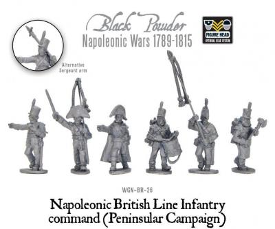 Napoleonic British Line Infantry command (Pensinsular Campaign)