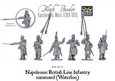 Napoleonic British Line Infantry command (Waterloo)