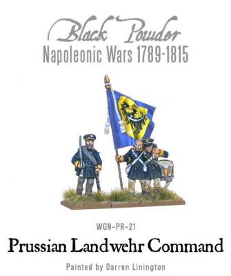 Napoleonic - Prussian Landwehr Officer Mounted (2)
